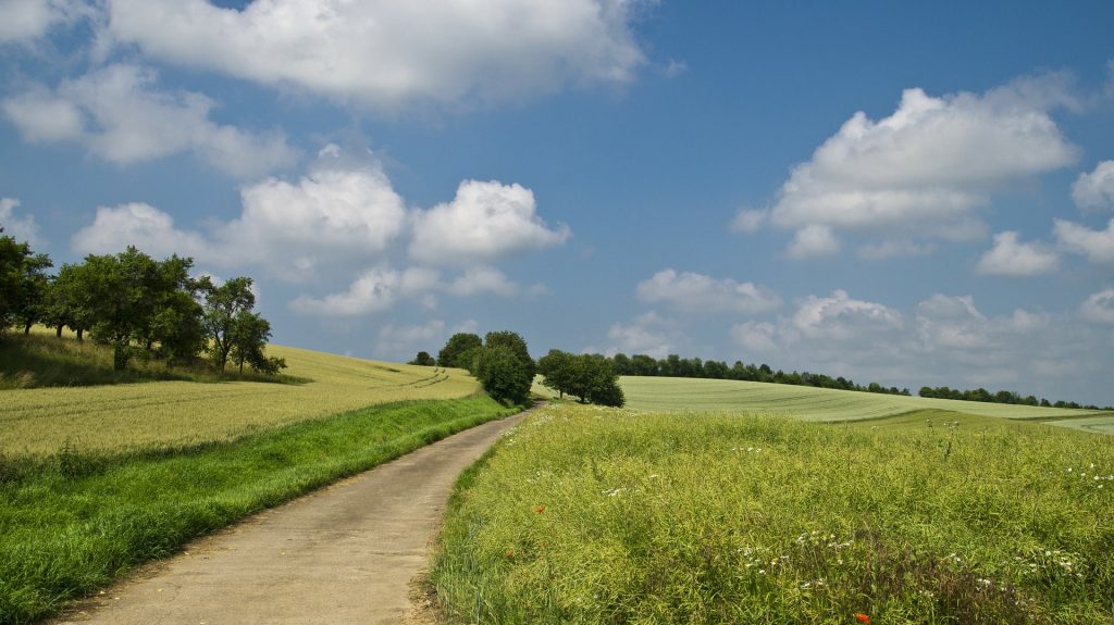 JüngerWege